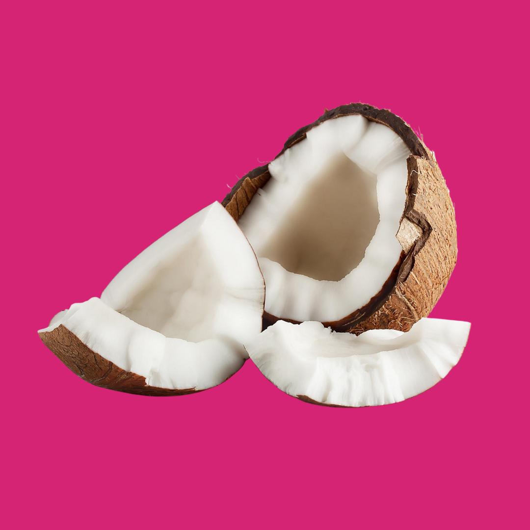 coconut milk soapmaking ingredients handmade soap handcrafted soap bars gag gift prank gift